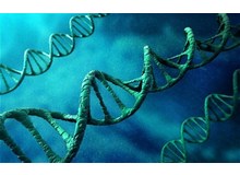 Article_thumb_thumbnail_dna2