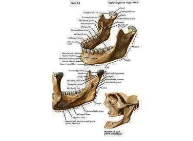 Article_image_______________1_