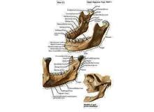 Article_thumb_______________1_