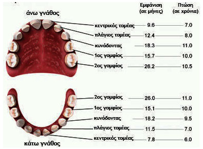 Article_image_dontia-neogila