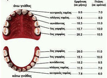 Article_thumb_dontia-neogila