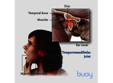 Article_image_article_image_maria_2
